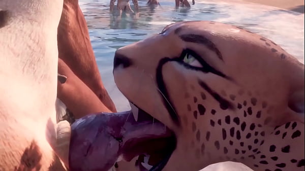 Furry Porn Cheetah Anime Blowjob Compilation